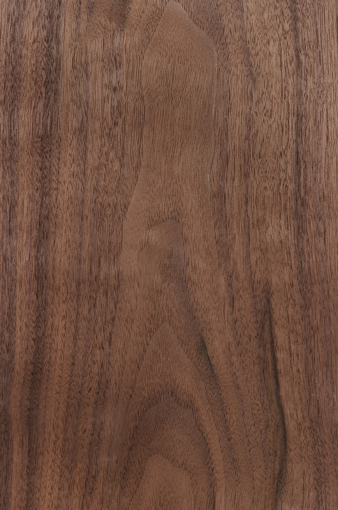 Walnut American