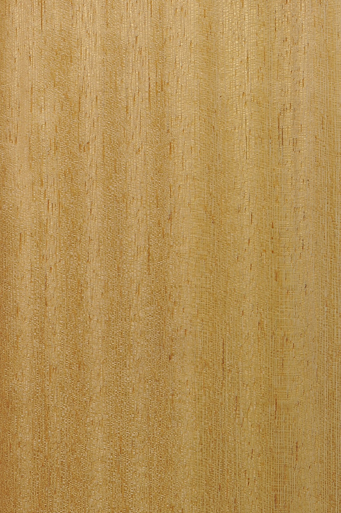 Iroko